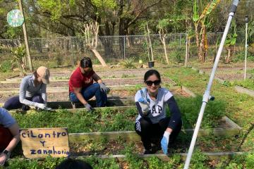 Alternative Spring Break 2025 Photo