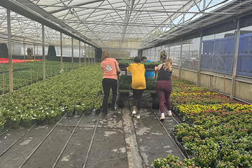 Alternative Spring Break 2026 Photo