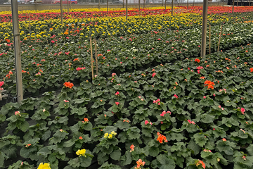 Alternative Spring Break 2026 Photo