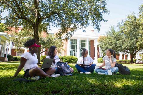 Students on the Green