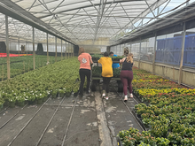 Alternative Spring Break 2026 Photo