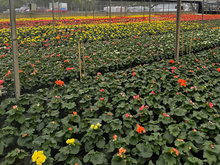 Alternative Spring Break 2026 Photo