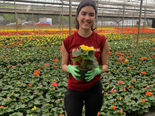 Alternative Spring Break 2026 Photo