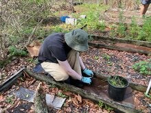 Alternative Spring Break 2026 Photo