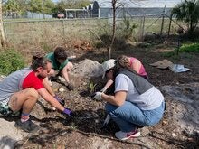 Alternative Spring Break 2026 Photo