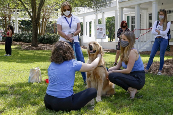 student petting dog on the Green