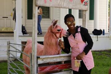 Llamas on the Green