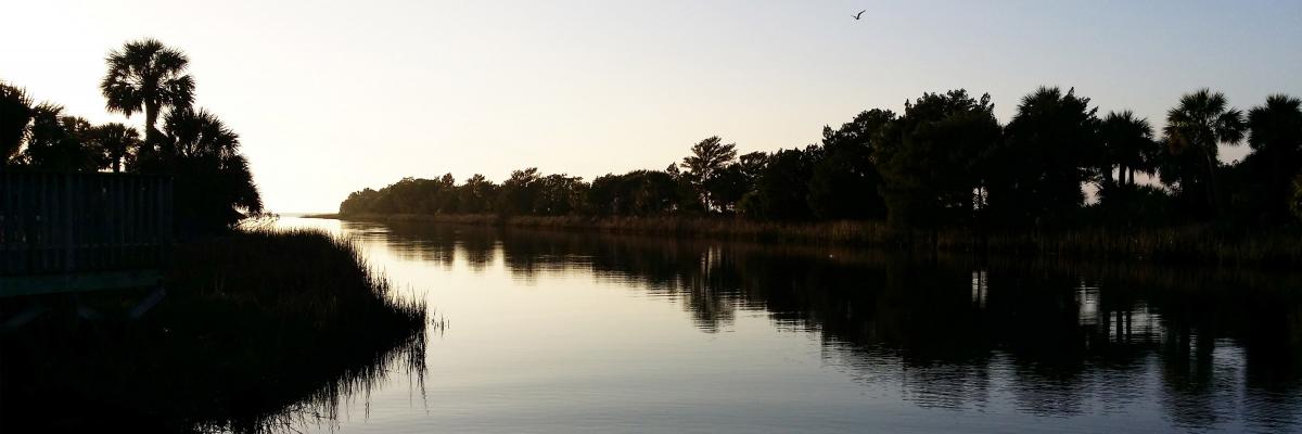 Environmental Nature Scene