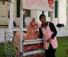 Llamas on the Green